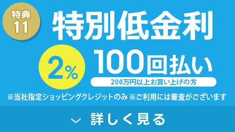 特別低金利 100回払いでも2%