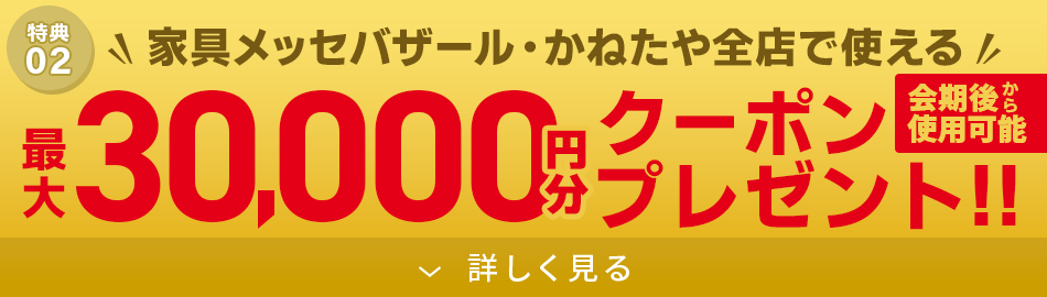 東京ドーム特別企画！最大3万円OFFクーポンプレゼント！