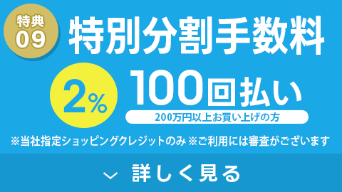 特別低金利 100回払いでも2%